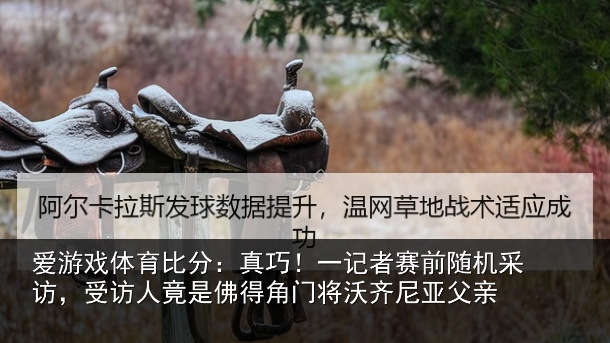爱游戏体育比分：真巧相关情况访受相关情况将沃齐尼亚父亲