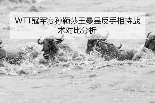 guan-jun-sai-sun-ying-sha-wang-man-yu-fan-shou-xiang-chi-zhan-shu-dui-bi-fen-xi-2-662.jpg